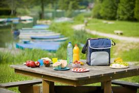 campingaz - Šaltkrepšis Campingaz Fold'N Cool 2000011724 Dark Blue, 20 l - 2 nuotrauka