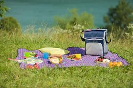 campingaz - Šaltkrepšis Campingaz Fold'N Cool 2000011724 Dark Blue, 20 l - 3 nuotrauka