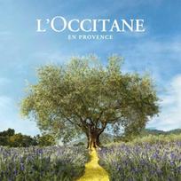l occitane - L´Occitane Cherry Blossom Hand Cream 75ml - 5 nuotrauka