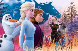 frozen puzzle - Dėlionė frozen2 24 maxi 14298 - 2 nuotrauka