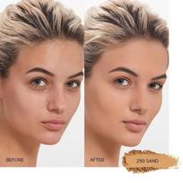 cc pudra - Shiseido Synchro Skin Self Refreshing Custom Finish Powder Foundation 9g 250 - 7 nuotrauka