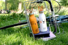 aladdin gertuve - Aladdin Zoo Water Bottle 0.43l Stainless Steel Lion - 4 nuotrauka