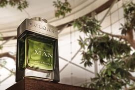woods - Bvlgari Man Wood Essence 100ml EDP - 4 nuotrauka