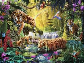 puzzle 1500 - Ravensburger Puzzle Tranguil Tigers 1500pcs - 3 nuotrauka
