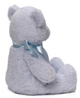 meskutis - Gund My First Teddy Blue 38cm - 2 nuotrauka