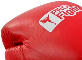 bokso pirstines - ProFight Skin Dragon Boxing Gloves Red 10oz - 3 nuotrauka