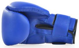 bokso pirstines - ProFight Skin Dragon Boxing Gloves Blue 10oz - 3 nuotrauka