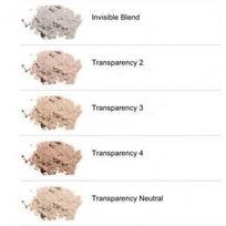 clinique blended face powder - Clinique Blended Face biri pudra su šepetėliu 35 g. - 03 Transparency - 3 nuotrauka