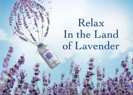l occitane - L´Occitane Lavender Body Lotion 250ml - 3 nuotrauka