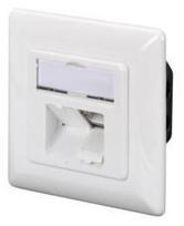 e mounts - Digitus Modular Wall Outlet Cat 6 RJ45 x 2 White - 2 nuotrauka