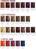 semi color - Wella Professionals Color Touch Hair Color Vibrant Reds 60ml 66/44 - 4 nuotrauka