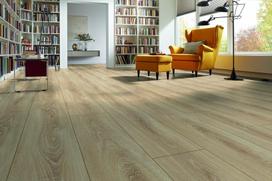 medienos plauso - Laminuotos medienos plaušų grindys Kronotex, 1380 x 244 x 8 mm - 4 nuotrauka