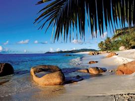 puzzle deliones 1000 - Ravensburger Puzzle Under The Palms 1000pcs 190188 - 2 nuotrauka