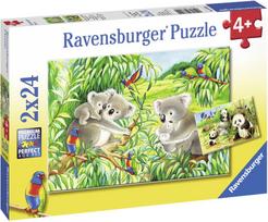 Ravensburger Puzzle Sweet Koalas & Pandas 2x24pcs 078202