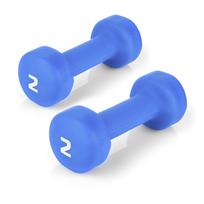 Svarmenys Spokey, 2 vnt., 2 kg