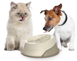 gertuve 2l - Georplast Pet Water Fountain Trevi - 2 nuotrauka