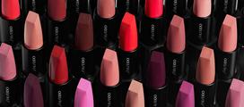shiseido pudra - Shiseido ModernMatte Powder Lipstick 4g 504 - 9 nuotrauka