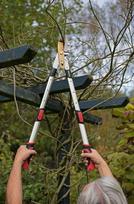 saku zirkles - Kreator KRTGR4024 Telescopic Alu Lopping Anvil Shears - 4 nuotrauka