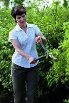 fiskars zirkles - Fiskars 114790 Hedge Shears - 7 nuotrauka