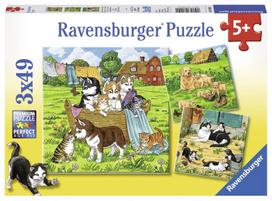 Ravensburger Puzzle Sweet Cats And Dogs 3x49pcs 080021