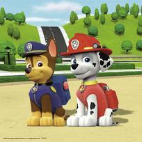 paw patrol delione - Ravensburger Puzzle Paw Patrol 3x49pcs 092390 - 4 nuotrauka