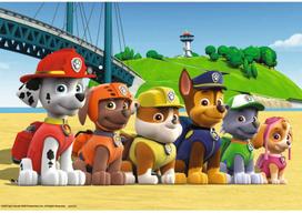 paw patrol delione - Ravensburger Puzzle Paw Patrol 2x24pcs 09064 - 2 nuotrauka
