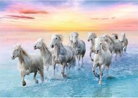 zirgamu - Trefl Puzzle Galloping White Horses 500pcs 37289 - 2 nuotrauka