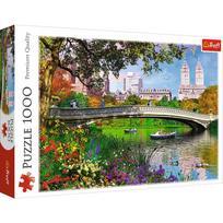 Trefl Puzzle  Central Park New York 1000pcs