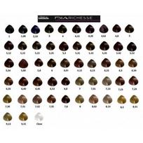 semi color - L`Oréal Professionnel Dia Richesse Semi Permanent Hair Color 50ml 6.40 - 2 nuotrauka