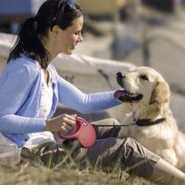 pavadelis flexi s 5m - Flexi New Classic Tape S 5m Red - 5 nuotrauka