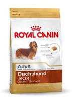 taksas - Royal Canin BHN Dachshund Adult 7.5kg - 1 nuotrauka