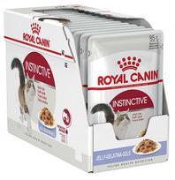 kaciukas gyvunai - Royal Canin FHN Instinctive In Jelly 85g 12pcs - 1 nuotrauka