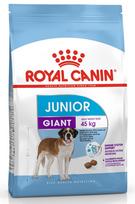 royal canin shn - Royal Canin SHN Giant Junior 15kg - 1 nuotrauka