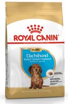taksas - Royal Canin BHN Dachshund Junior 1.5kg - 1 nuotrauka