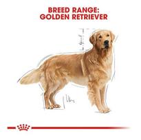royal canin sunu 12kg - Royal Canin BHN Golden Retriever Adult 12kg - 4 nuotrauka