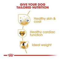 royal canin sunu 12kg - Royal Canin BHN Golden Retriever Adult 12kg - 5 nuotrauka