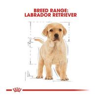 royal canin sunu 12kg - Royal Canin BHN Labrador Retvrievier Junior 12kg - 3 nuotrauka
