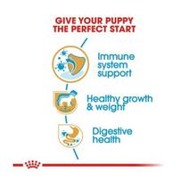 royal canin sunu 12kg - Royal Canin BHN Labrador Retvrievier Junior 12kg - 4 nuotrauka