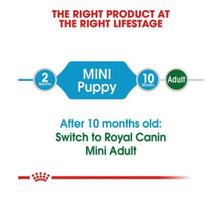 royal canin shn - Royal Canin SHN Mini Junior 8kg - 3 nuotrauka
