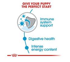 royal canin shn - Royal Canin SHN Mini Junior 8kg - 4 nuotrauka
