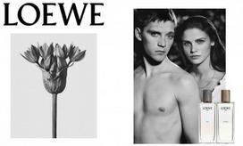 loewe - Loewe 001 Man 100ml EDT - 3 nuotrauka