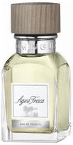 vyriski kvepalia - Adolfo Dominguez Agua Fresca 60ml EDT - 2 nuotrauka