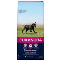 vistiena - Eukanuba Puppy Large Breed With Chicken 15kg - 3 nuotrauka