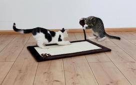 kate brown - Trixie 4323 Scratching Mat with Plush Border - 3 nuotrauka