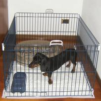 metalinis aptvarai - Ferplast Dog Training 80x80x62cm - 2 nuotrauka