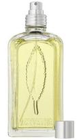 l occitane - L´Occitane Verveine Agrumes 100ml EDT - 3 nuotrauka