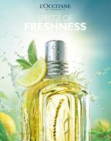 l occitane - L´Occitane Verveine Agrumes 100ml EDT - 6 nuotrauka