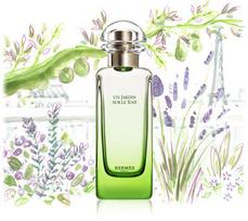 hermes un jardin sur le toit 100ml - Hermes Un Jardin Sur Le Toit 50ml EDT Unisex - 4 nuotrauka