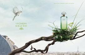 hermes un jardin sur le toit 100ml - Hermes Un Jardin Sur Le Toit 50ml EDT Unisex - 5 nuotrauka