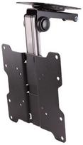 NewStar Ceiling Mount For TV 10-40'' Black